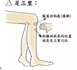 三足里的准确位置视频,探寻历史遗迹的精准坐标