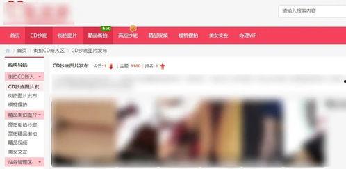 成人在线精品视频,高品质娱乐与知识分享的完美融合
