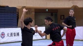 武术旋风腿教学视频,跟随教学视频轻松掌握武术精髓