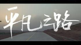 关于平凡之路视频,探寻人生轨迹的温暖启示录