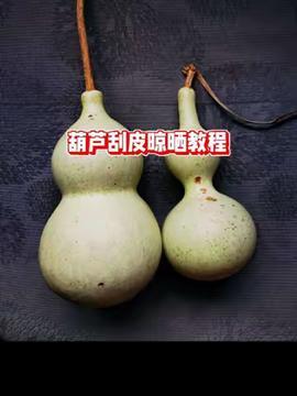 葫芦的视频,穿越时空的奇幻之旅