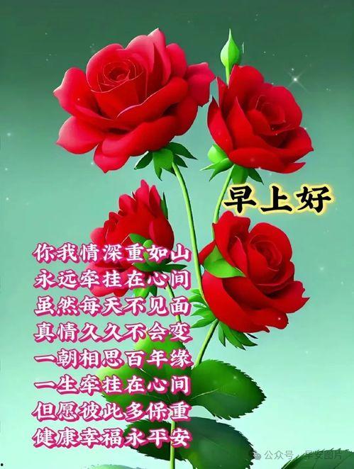 早上好视频图,探寻“早上好”视频图背后的温馨故事