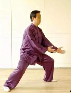 十八式陈式太极拳视频教学,入门必看，轻松掌握太极拳精髓