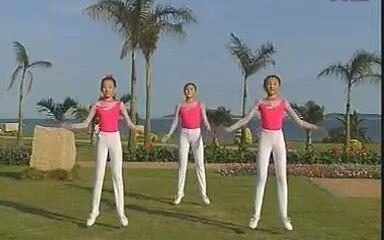 第二套广播体操视频完整版,活力四溢，健康生活新篇章